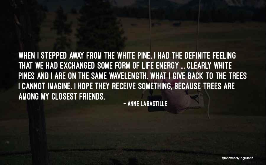 We Are Friends Because Quotes By Anne LaBastille