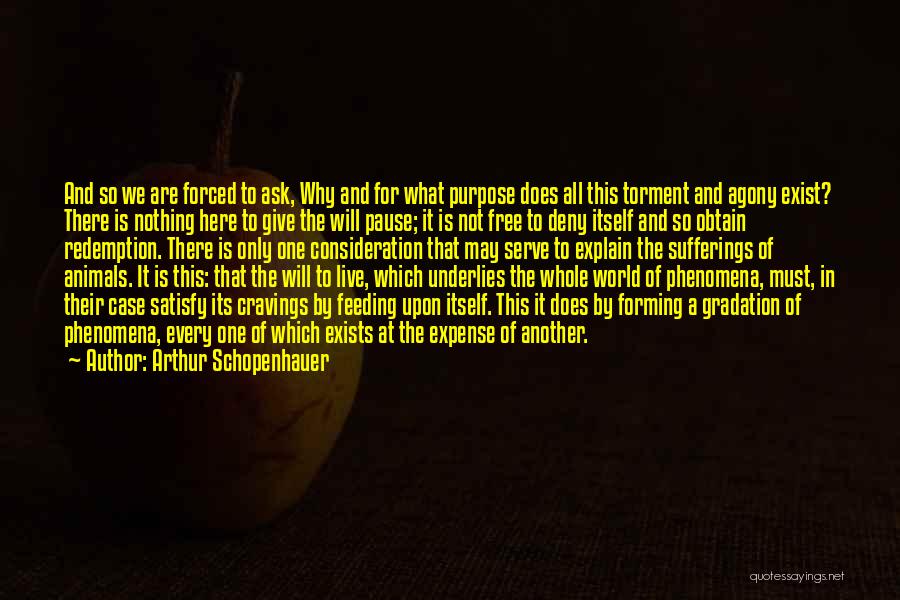 We Are Here For A Purpose Quotes By Arthur Schopenhauer