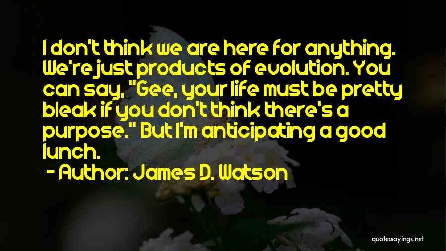 We Are Here For A Purpose Quotes By James D. Watson