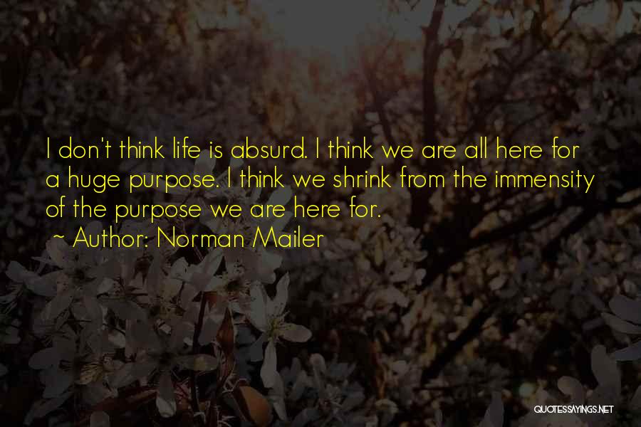 We Are Here For A Purpose Quotes By Norman Mailer