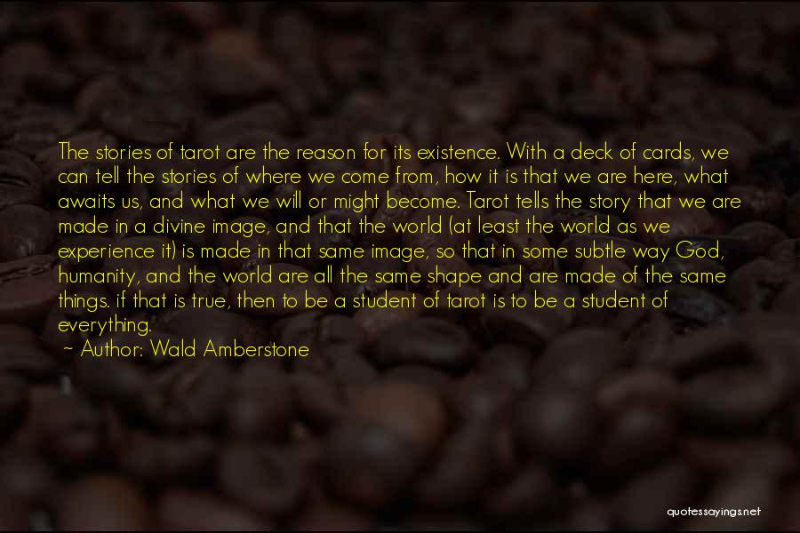 We Are Here For A Reason Quotes By Wald Amberstone