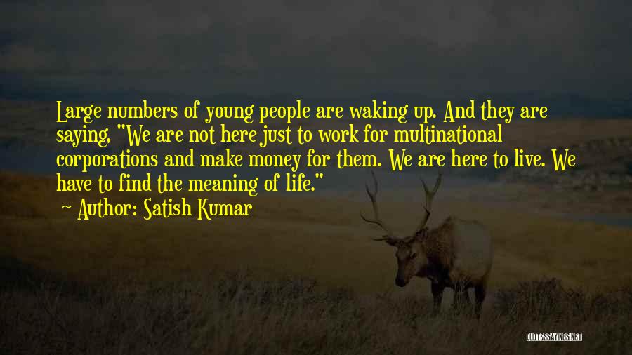 We Are Here To Work Quotes By Satish Kumar