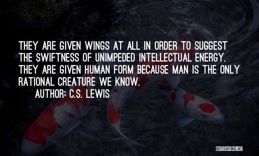 We Are Human Angels Quotes By C.S. Lewis