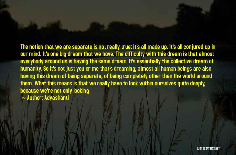 We Are Just Human Quotes By Adyashanti