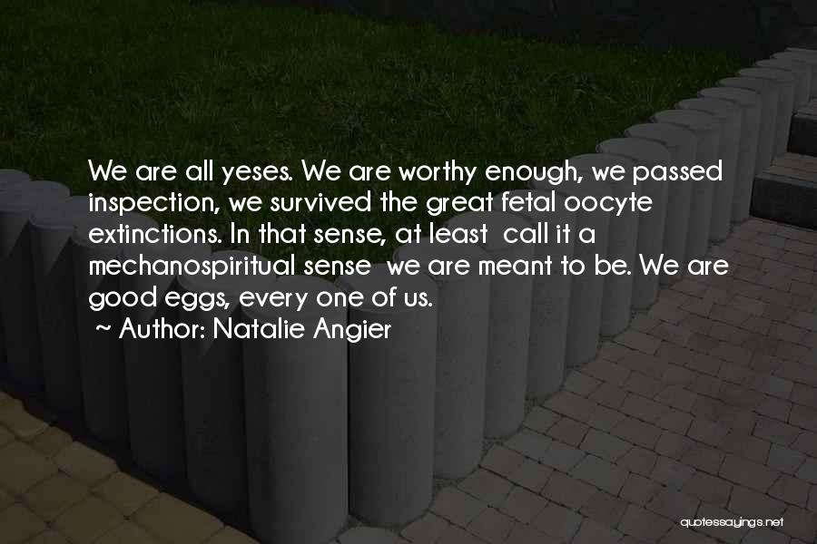 We Are Meant To Be Quotes By Natalie Angier