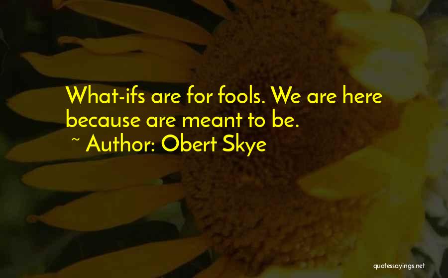 We Are Meant To Be Quotes By Obert Skye