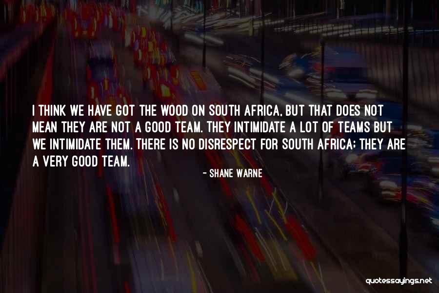 We Are Not A Team Quotes By Shane Warne