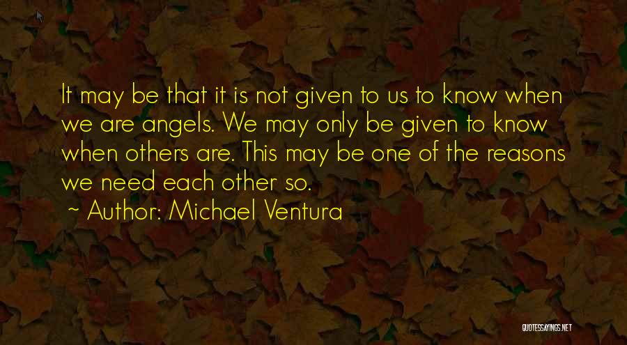 We Are Not Angels Quotes By Michael Ventura