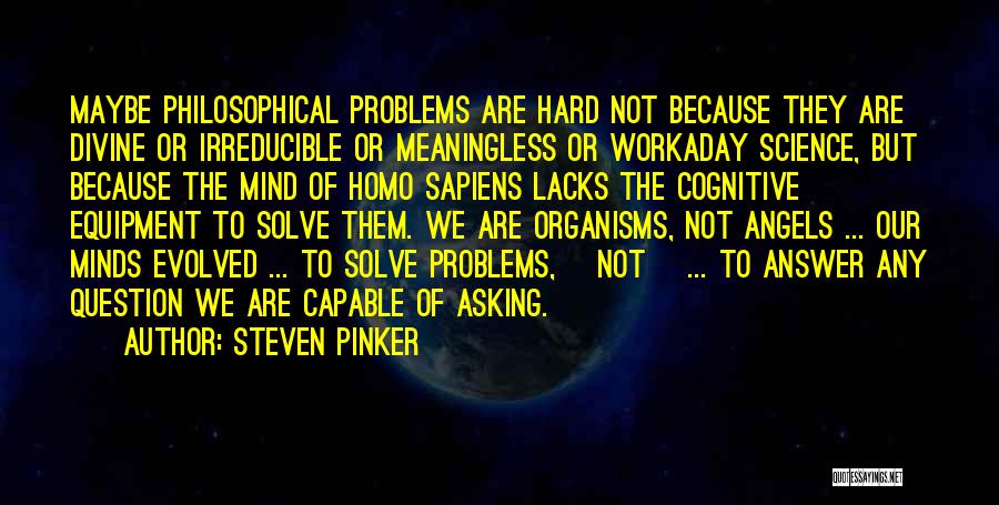 We Are Not Angels Quotes By Steven Pinker