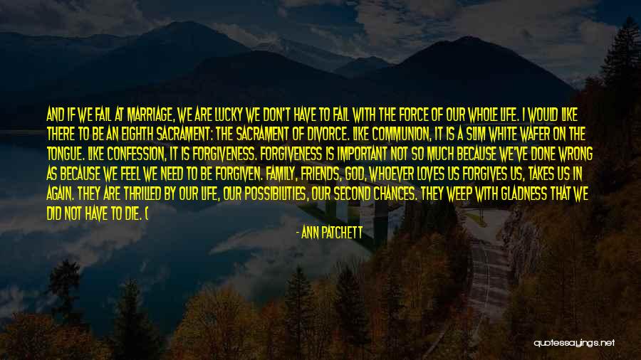 We Are Not Friends We Are Family Quotes By Ann Patchett