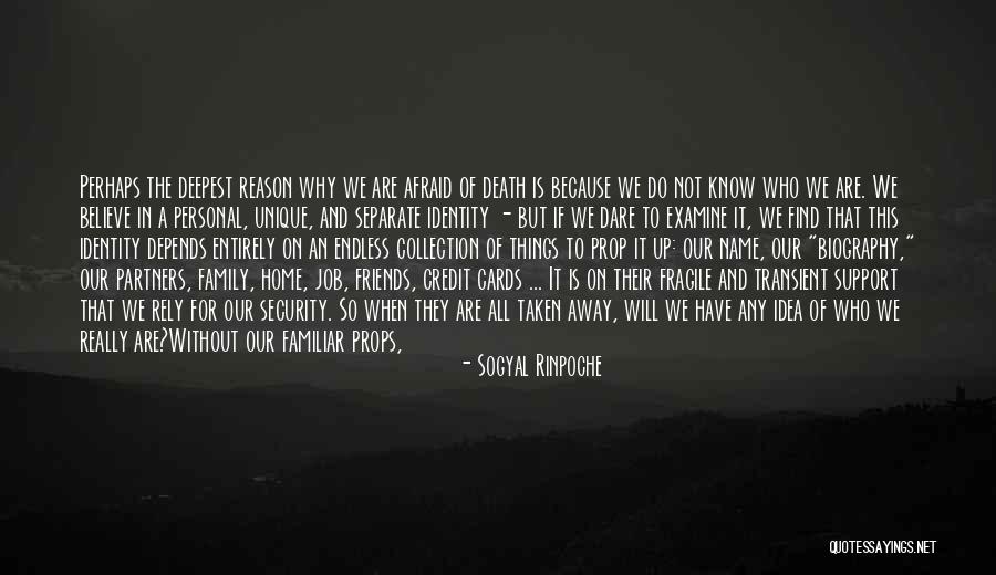 We Are Not Friends We Are Family Quotes By Sogyal Rinpoche We Are Not Friends We Are Family Quotes By Sogyal Rinpoche