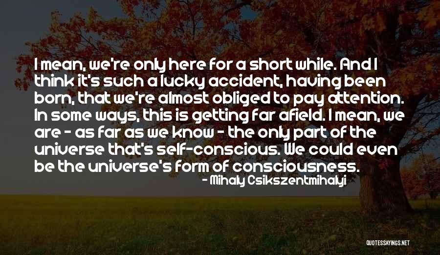 We Are Not Here By Accident Quotes By Mihaly Csikszentmihalyi We Are Not Here By Accident Quotes By Mihaly Csikszentmihalyi