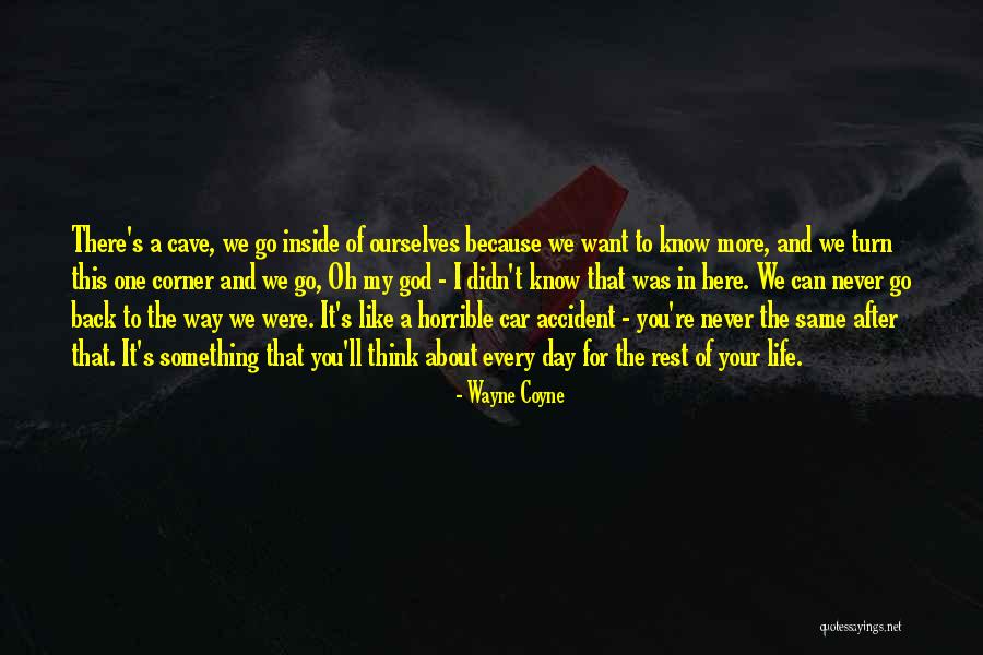 We Are Not Here By Accident Quotes By Wayne Coyne We Are Not Here By Accident Quotes By Wayne Coyne