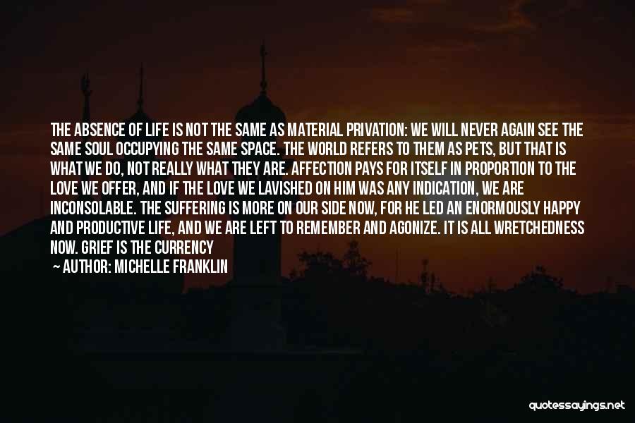 We Are Not Here Forever Quotes By Michelle Franklin