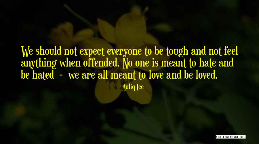 We Are Not Meant To Be Quotes By Auliq Ice We Are Not Meant To Be Quotes By Auliq Ice