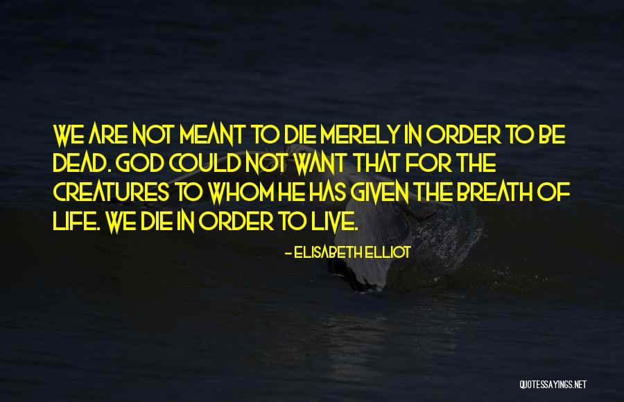 We Are Not Meant To Be Quotes By Elisabeth Elliot We Are Not Meant To Be Quotes By Elisabeth Elliot