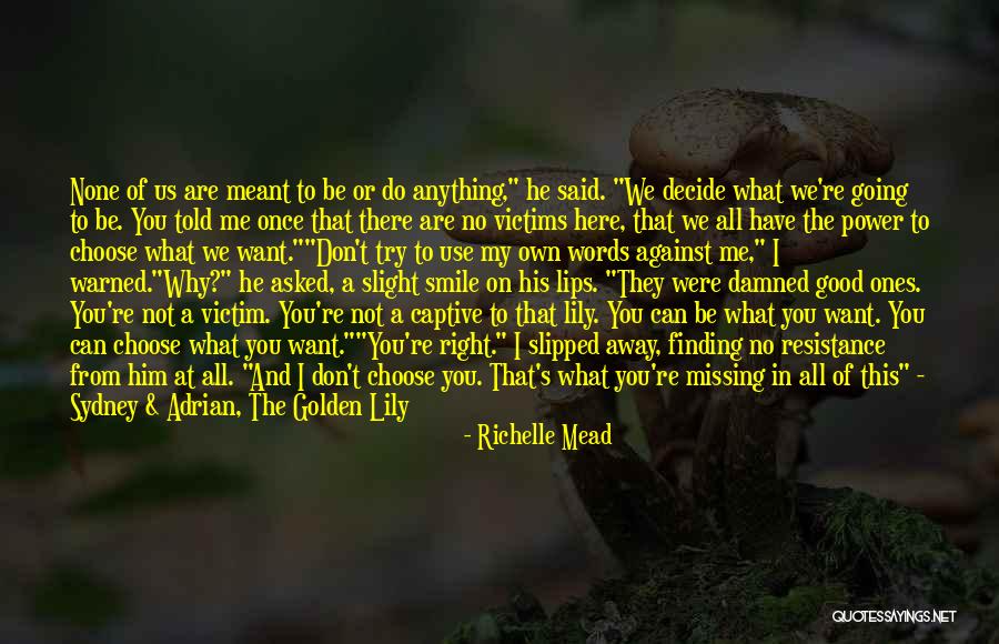 We Are Not Meant To Be Quotes By Richelle Mead