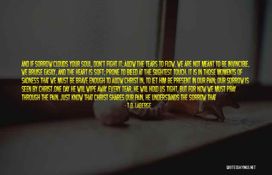 We Are Not Meant To Be Quotes By T.B. LaBerge We Are Not Meant To Be Quotes By T.B. LaBerge