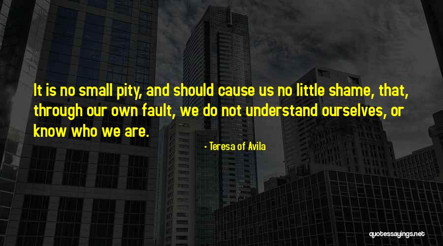 We Are Not Ourselves Quotes By Teresa Of Avila We Are Not Ourselves Quotes By Teresa Of Avila