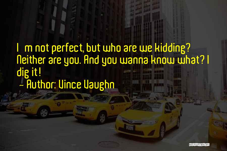 We Are Not Perfect But Quotes By Vince Vaughn