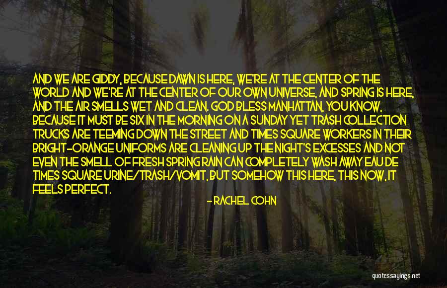 We Are Not Perfect Quotes By Rachel Cohn