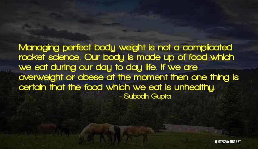 We Are Not Perfect Quotes By Subodh Gupta