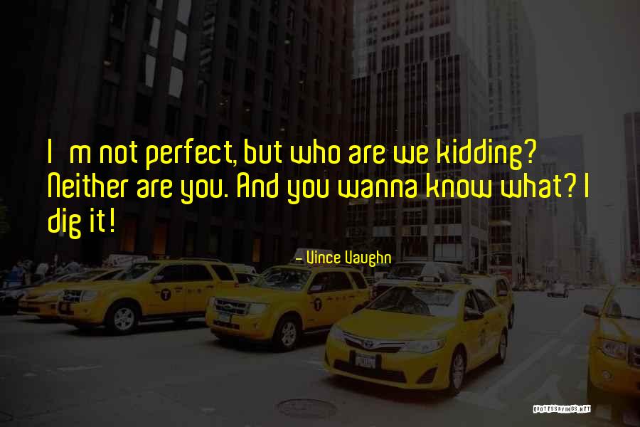 We Are Not Perfect Quotes By Vince Vaughn