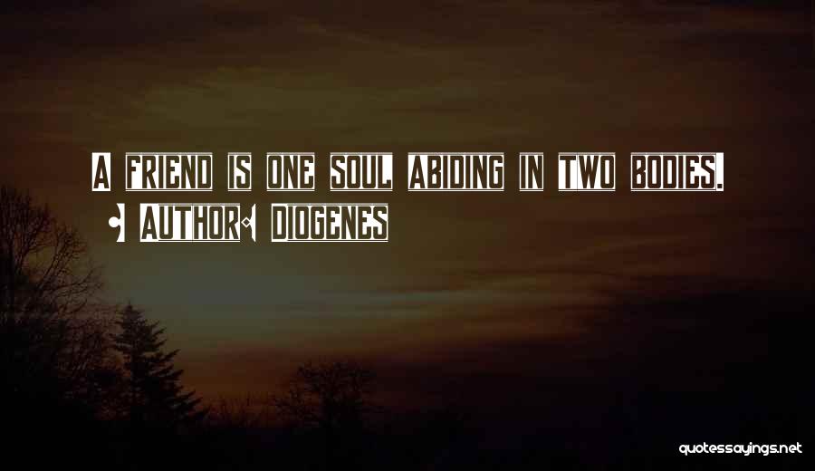 We Are One Soul In Two Bodies Quotes By Diogenes