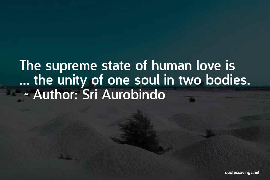 We Are One Soul In Two Bodies Quotes By Sri Aurobindo