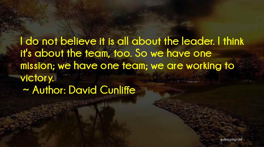 We Are One Team Quotes By David Cunliffe