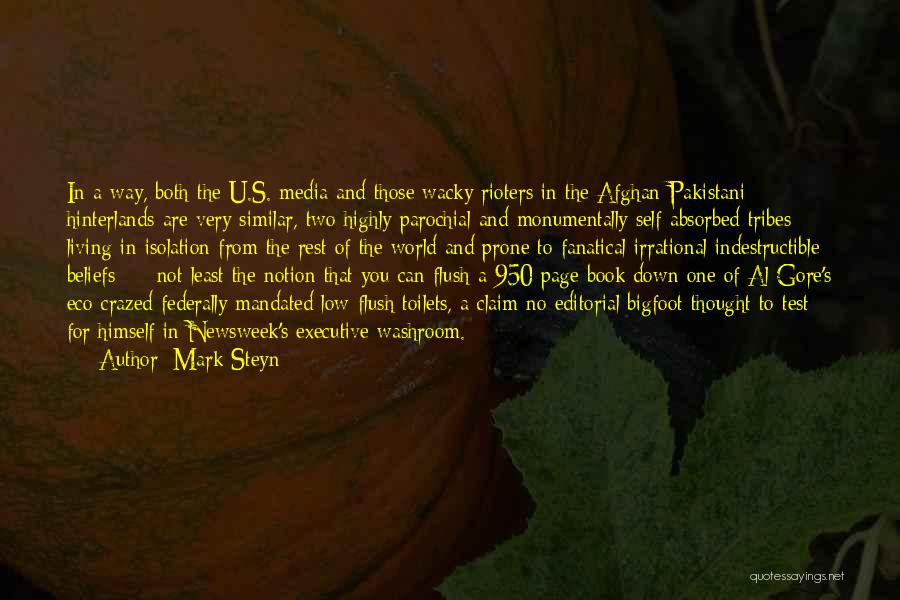 We Are Pakistani Quotes By Mark Steyn