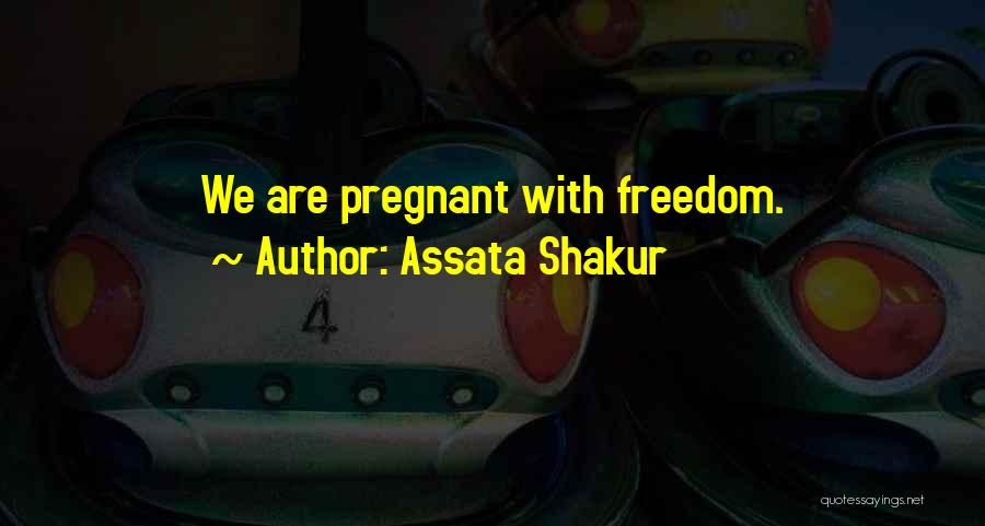 We Are Pregnant Quotes By Assata Shakur