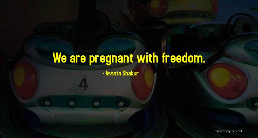 We Are Pregnant Quotes By Assata Shakur