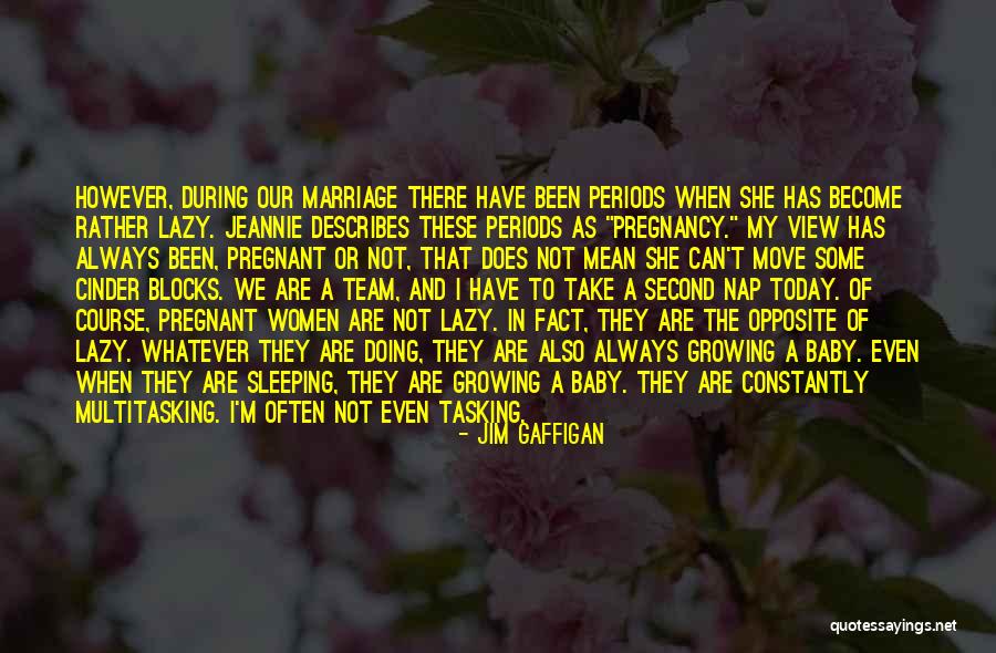 We Are Pregnant Quotes By Jim Gaffigan We Are Pregnant Quotes By Jim Gaffigan