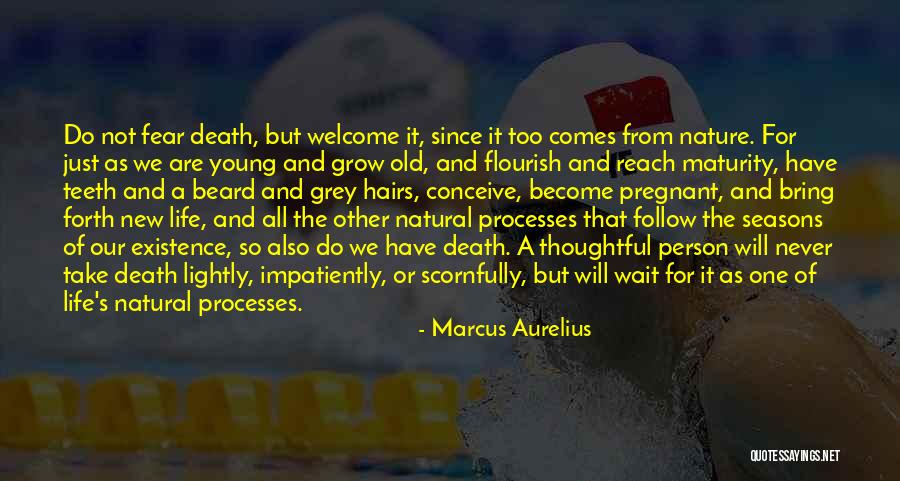 We Are Pregnant Quotes By Marcus Aurelius