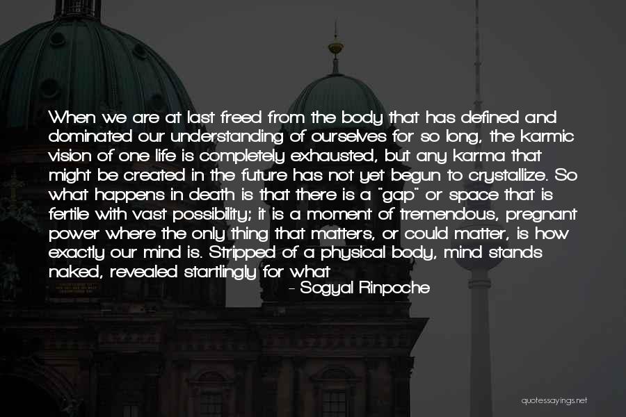 We Are Pregnant Quotes By Sogyal Rinpoche We Are Pregnant Quotes By Sogyal Rinpoche