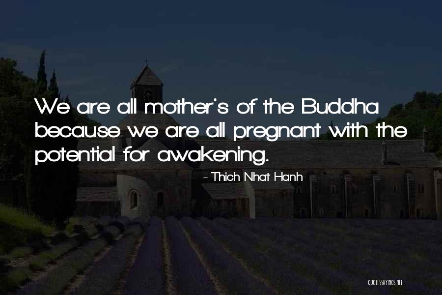 We Are Pregnant Quotes By Thich Nhat Hanh