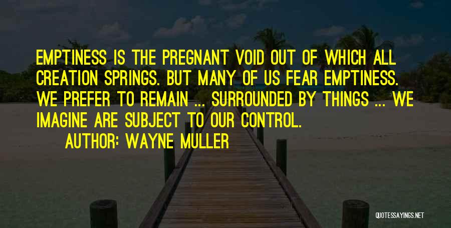 We Are Pregnant Quotes By Wayne Muller