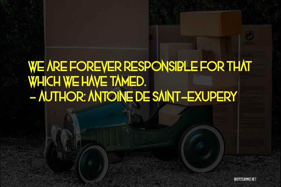 We Are Responsible For Quotes By Antoine De Saint-Exupery