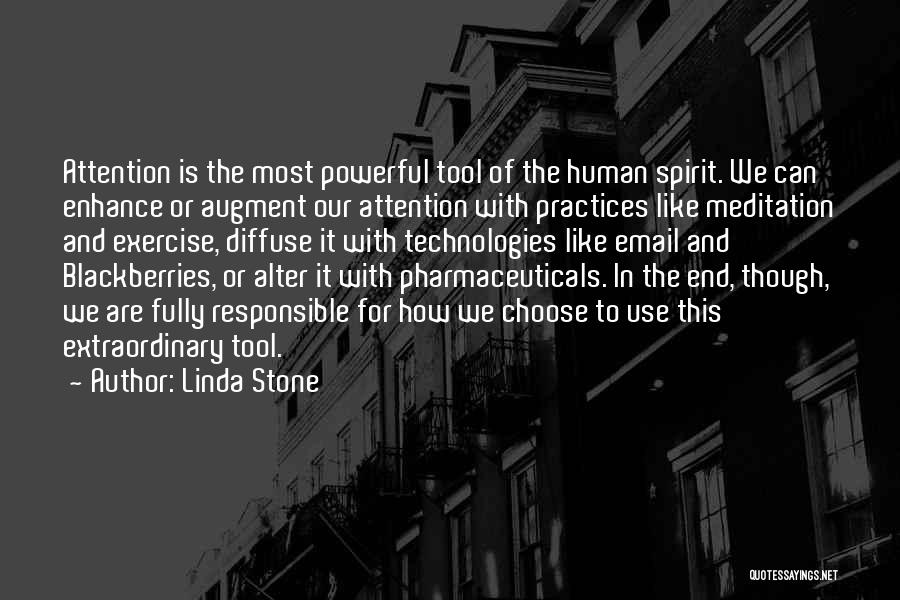 We Are Responsible For Quotes By Linda Stone