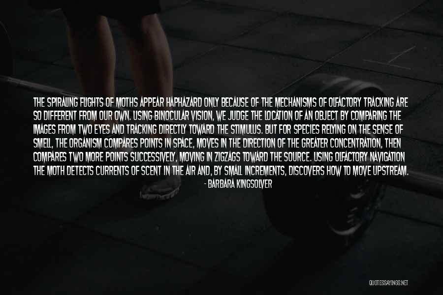 We Are So Different Quotes By Barbara Kingsolver We Are So Different Quotes By Barbara Kingsolver