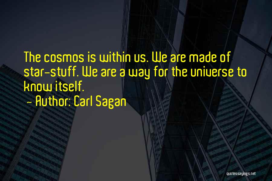 We Are Stardust Quotes By Carl Sagan