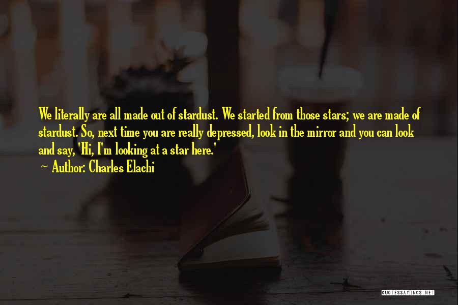 We Are Stardust Quotes By Charles Elachi