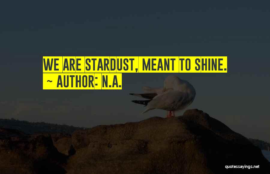 We Are Stardust Quotes By N.a.