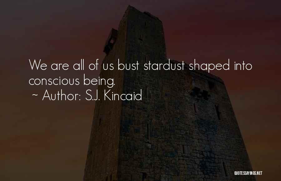 We Are Stardust Quotes By S.J. Kincaid