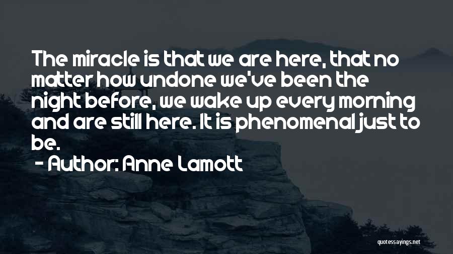 We Are Still Here Quotes By Anne Lamott