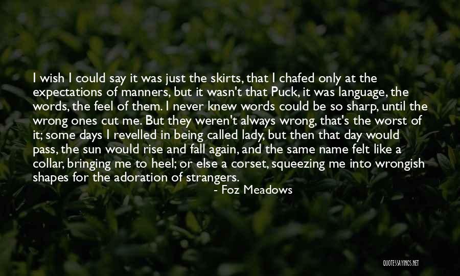 We Are Strangers Again Quotes By Foz Meadows We Are Strangers Again Quotes By Foz Meadows