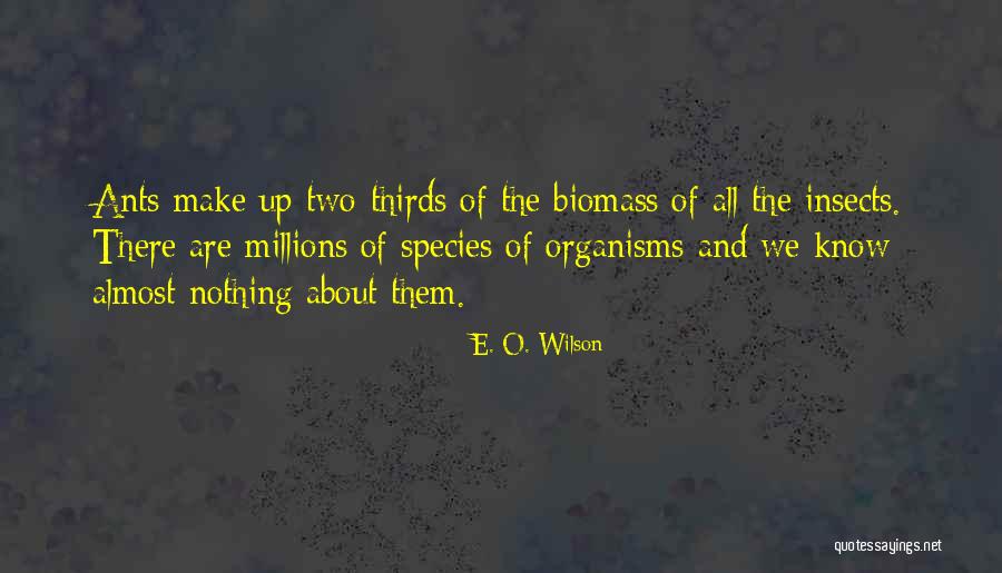 We Are The Ants Quotes By E. O. Wilson We Are The Ants Quotes By E. O. Wilson