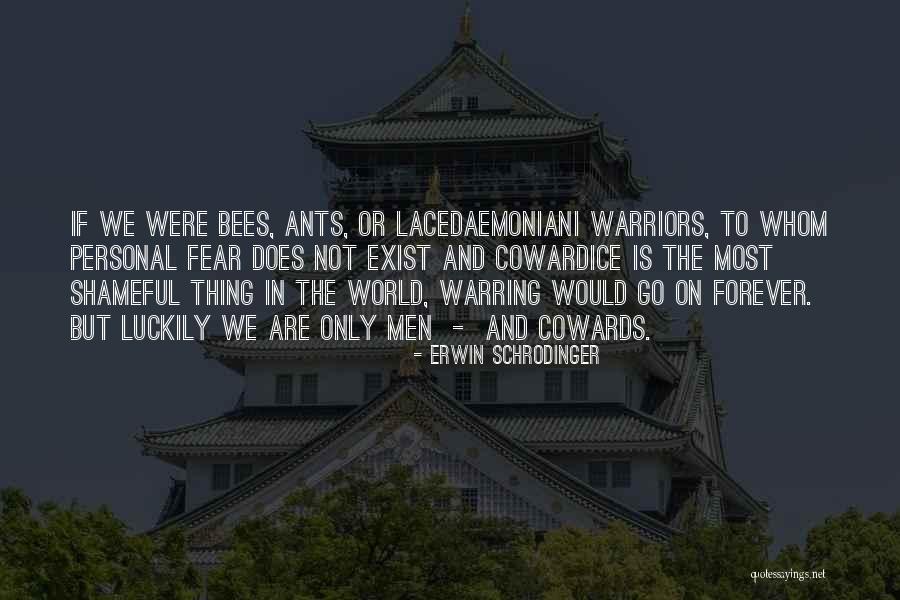 We Are The Ants Quotes By Erwin Schrodinger We Are The Ants Quotes By Erwin Schrodinger