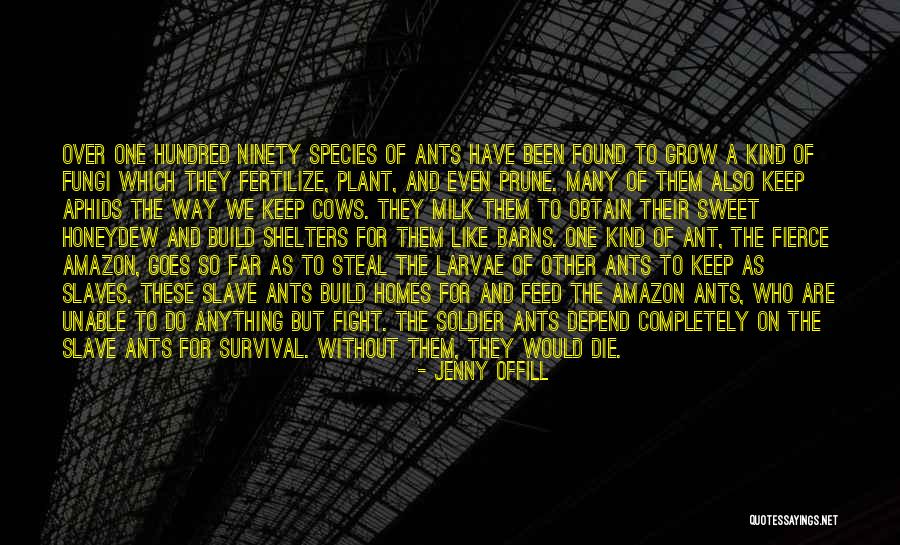 We Are The Ants Quotes By Jenny Offill We Are The Ants Quotes By Jenny Offill